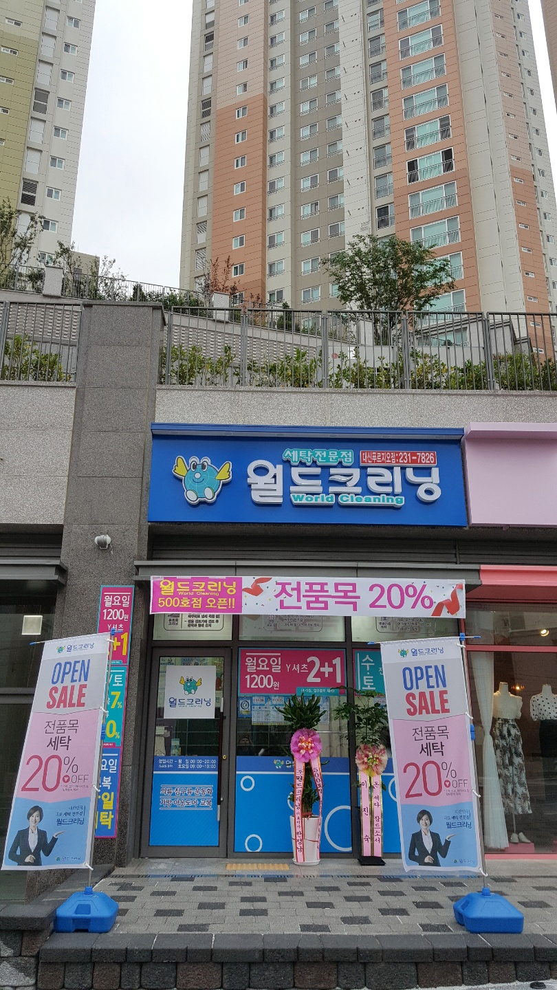 월드크리닝 이미지
