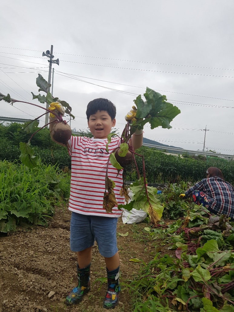 대청떡방앗간 이미지