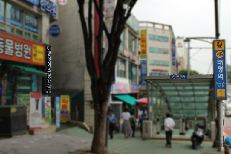 은빛꽃꽂이조경학원 이미지