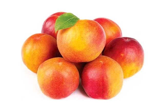 애프리코트(APRICOT) 이미지