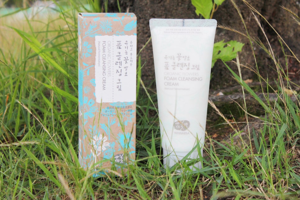 발효코리아 이미지