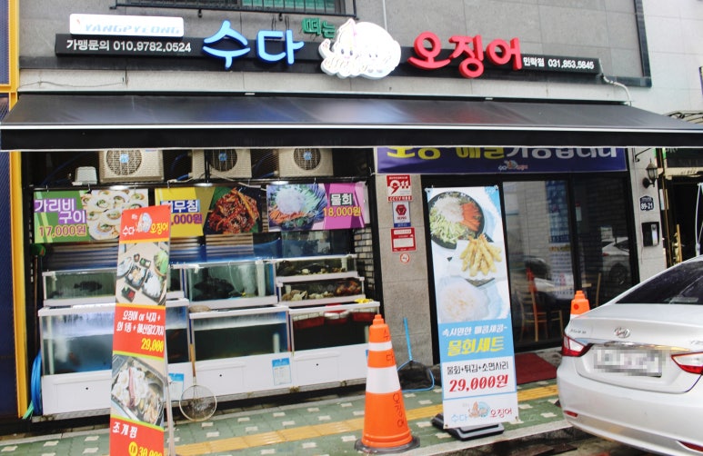 수다떠는오징어 이미지