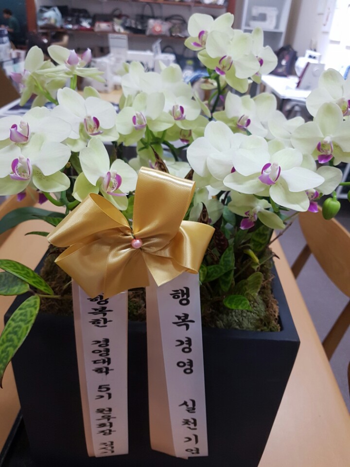 제이앤조이주 이미지