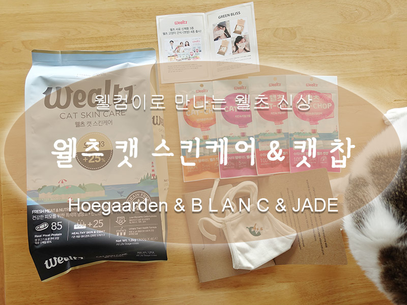 블리스캣 이미지