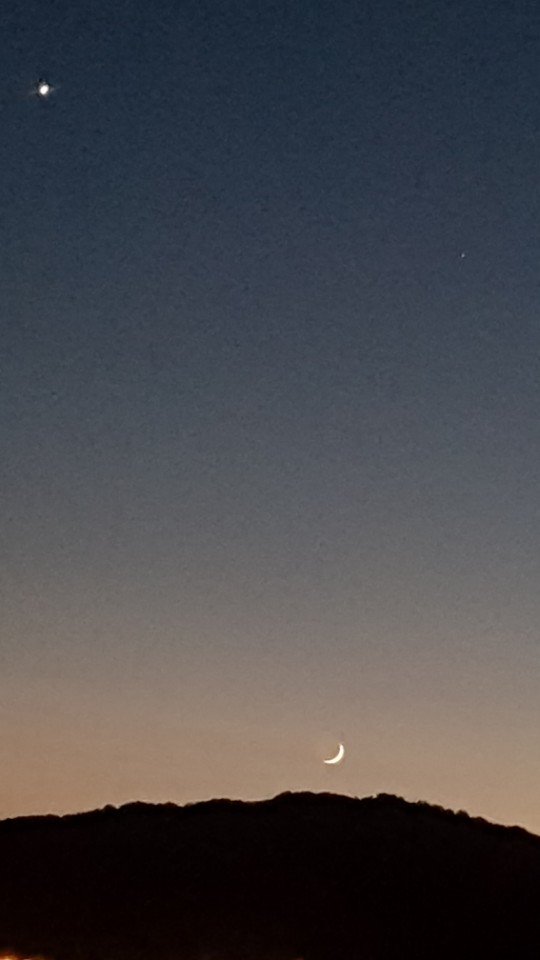손톱,달 이미지