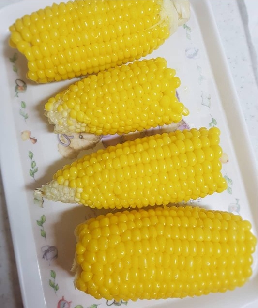 자매집옥수수 이미지