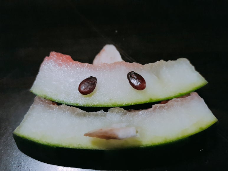 무궁화노래연습장 이미지