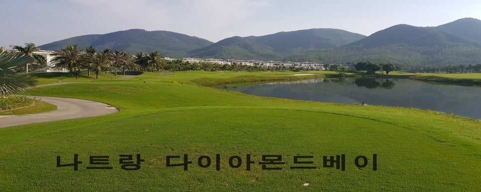 파란날개투어 이미지