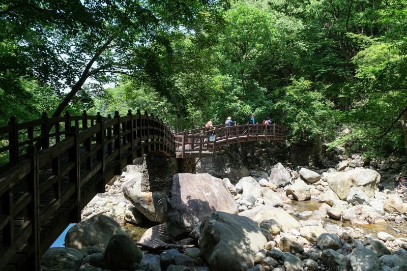 콜핑부산 이미지