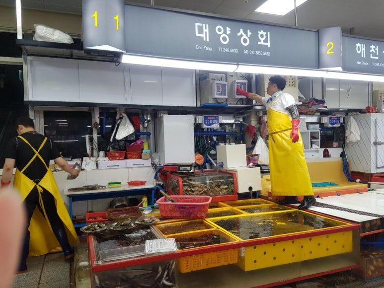 대양상회 이미지