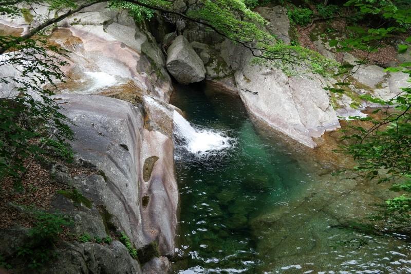 콜핑부산 이미지