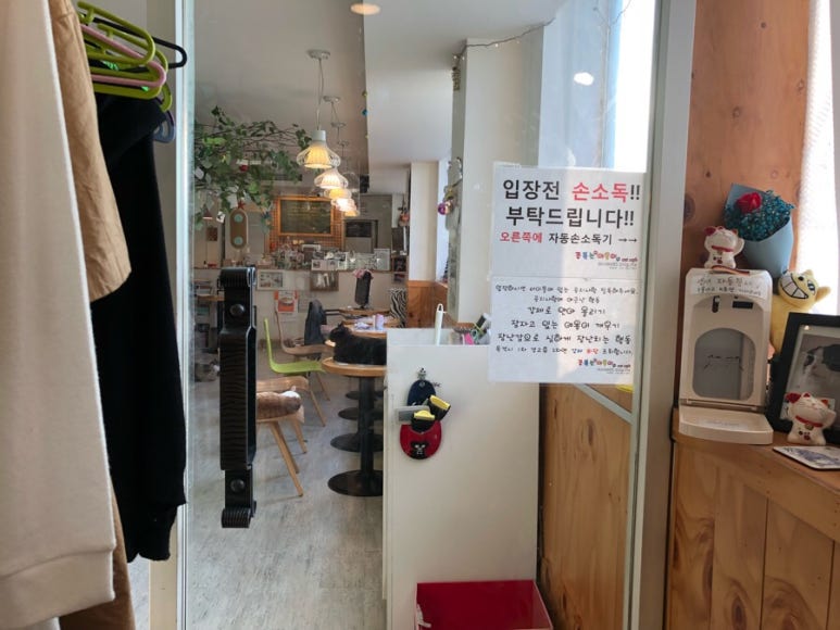 콩볶는야옹이 이미지