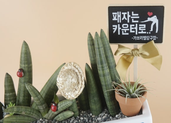 땡큐당구장 이미지