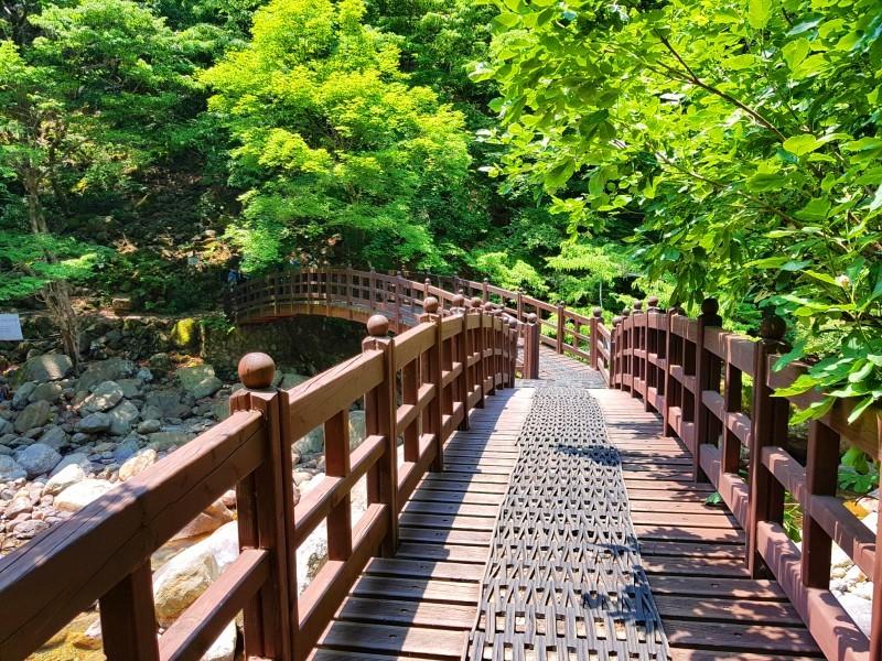 콜핑 초읍점 이미지