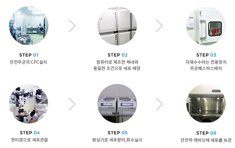 센신 이미지