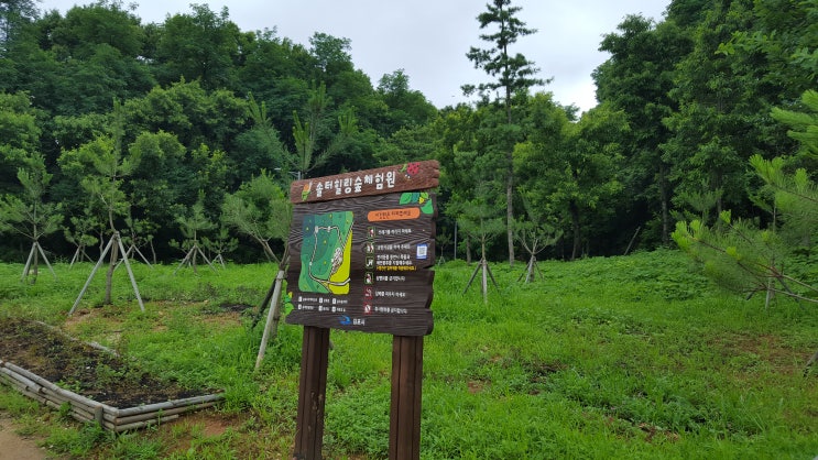 솔터힐링 숲체험원 이미지