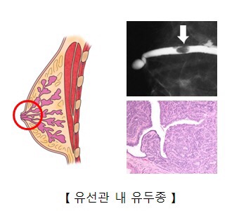 내추럴싸이언스 이미지