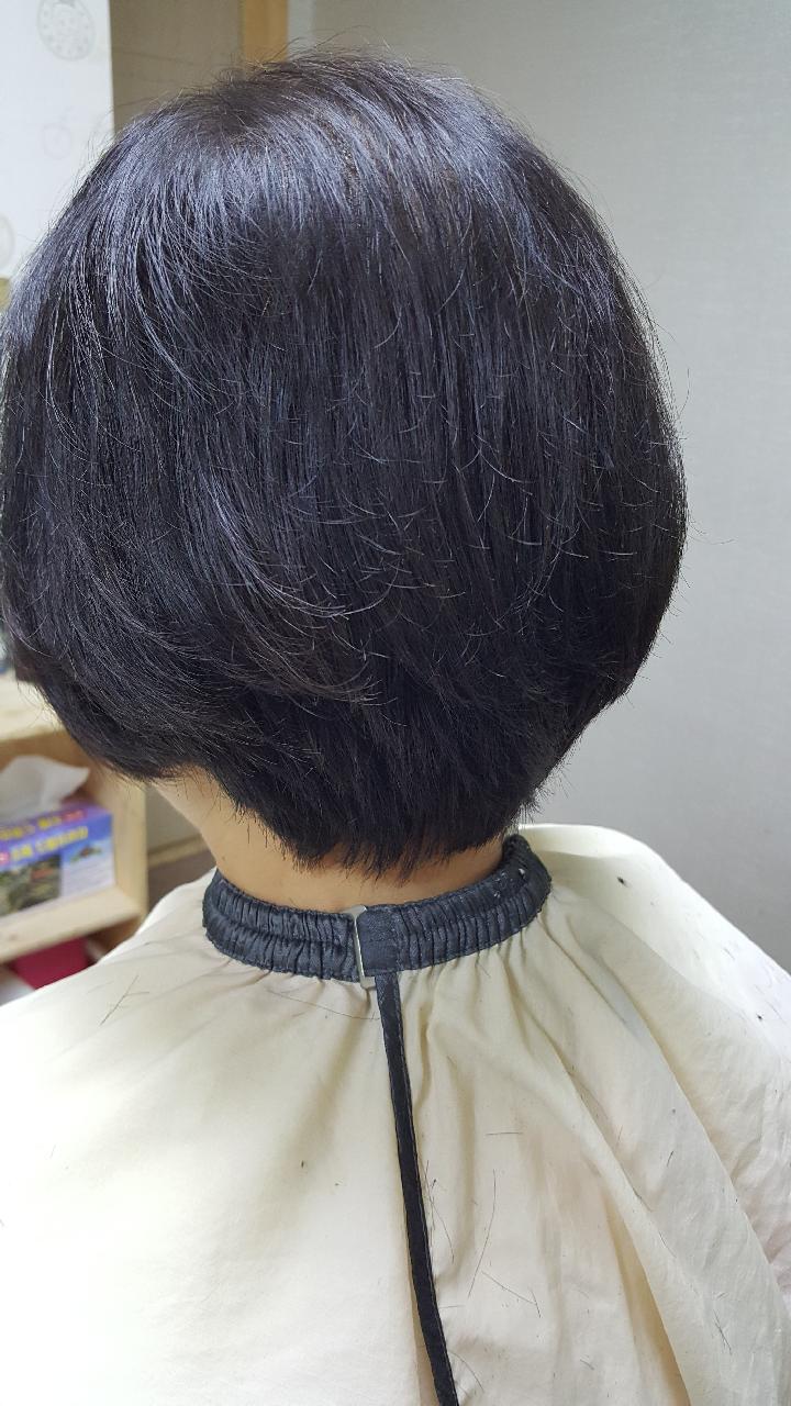 영모가발 이미지