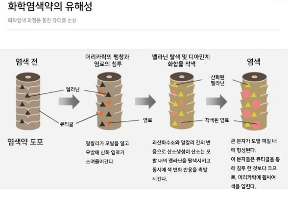 셀라미용실 이미지