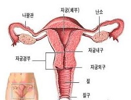 내추럴싸이언스 이미지
