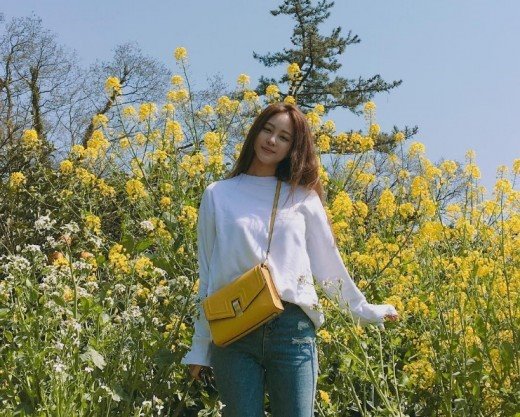 한올한끗 이미지