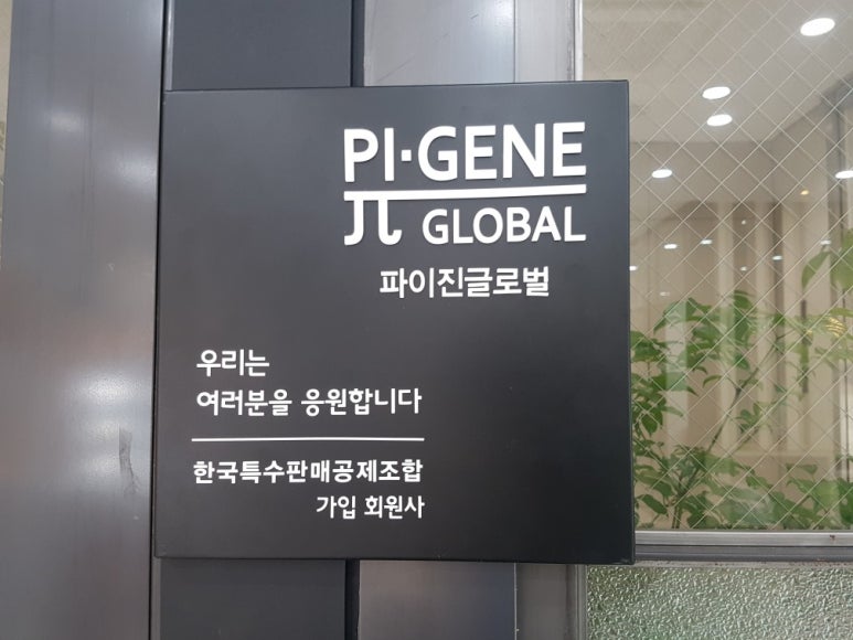 파이진글로벌 이미지
