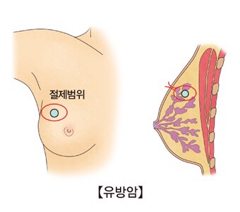 내추럴싸이언스 이미지