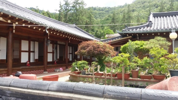 거목민박 이미지