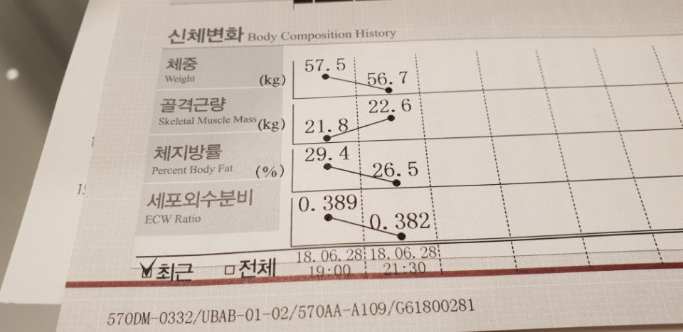본어겐 이미지