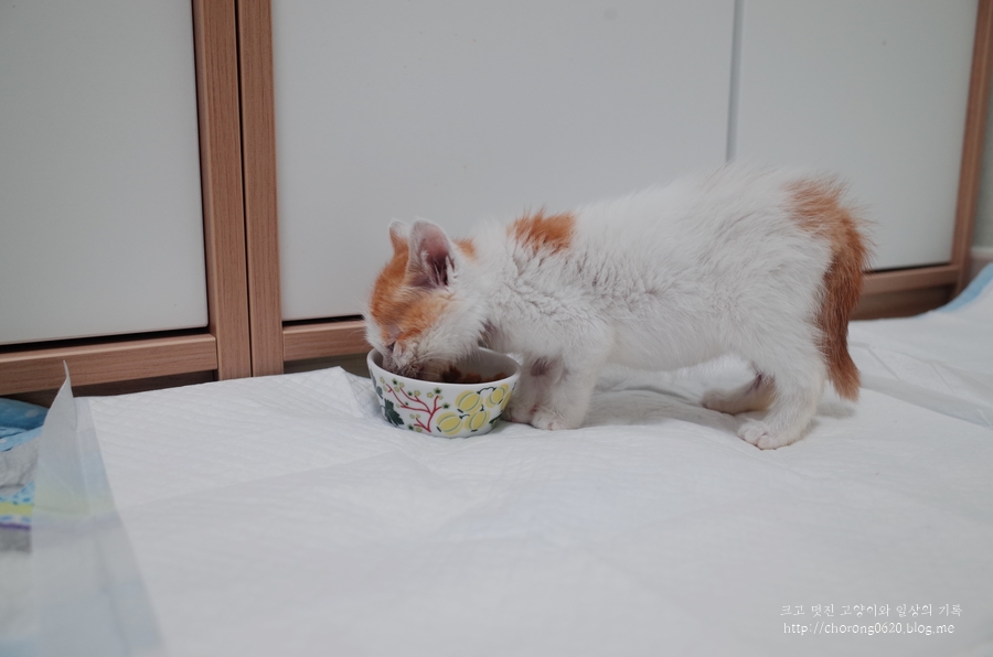 단이마켓 이미지