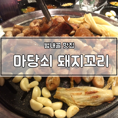 마당쇠돼지꼬리 이미지