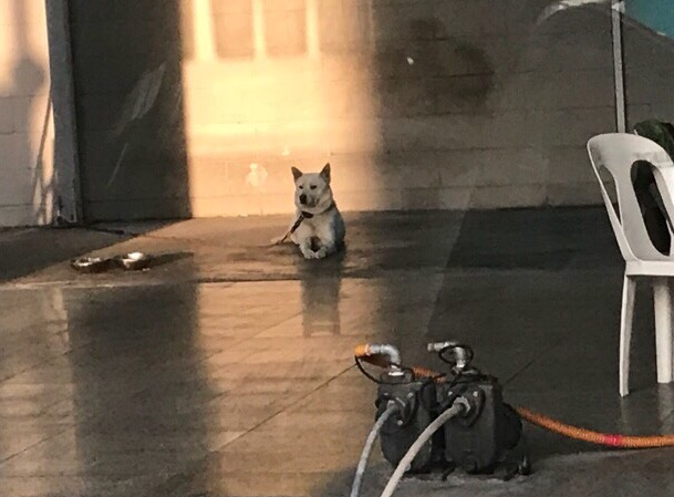 광생주유소 이미지