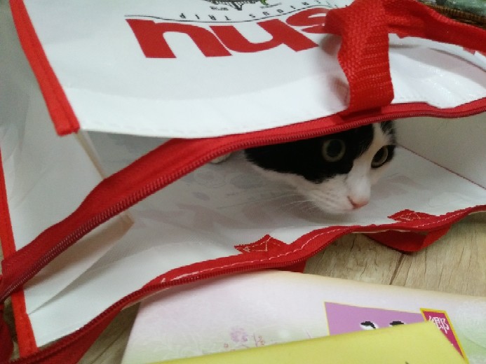 (주)한아름여행 이미지