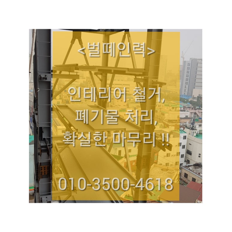 벌떼인력 이미지
