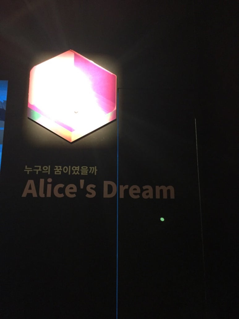 앨리스포레 이미지