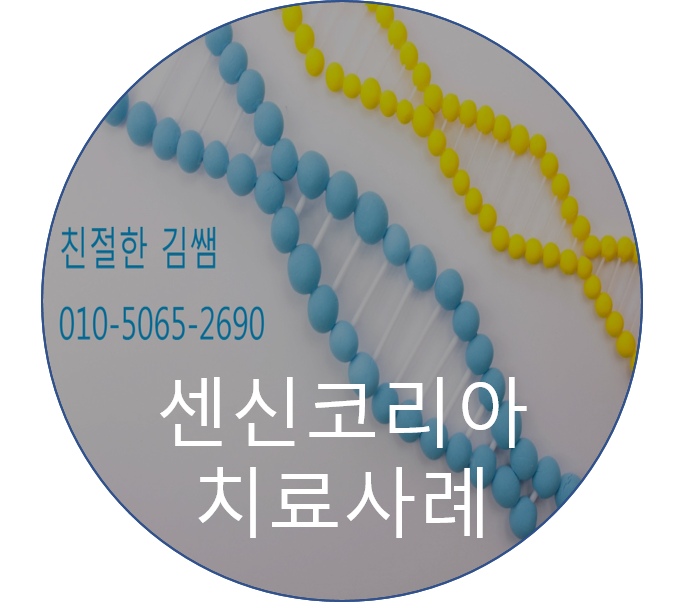 센신코리아 이미지