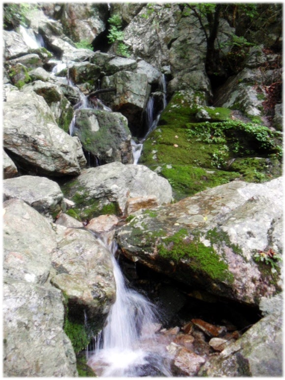 용문산 정상 이미지