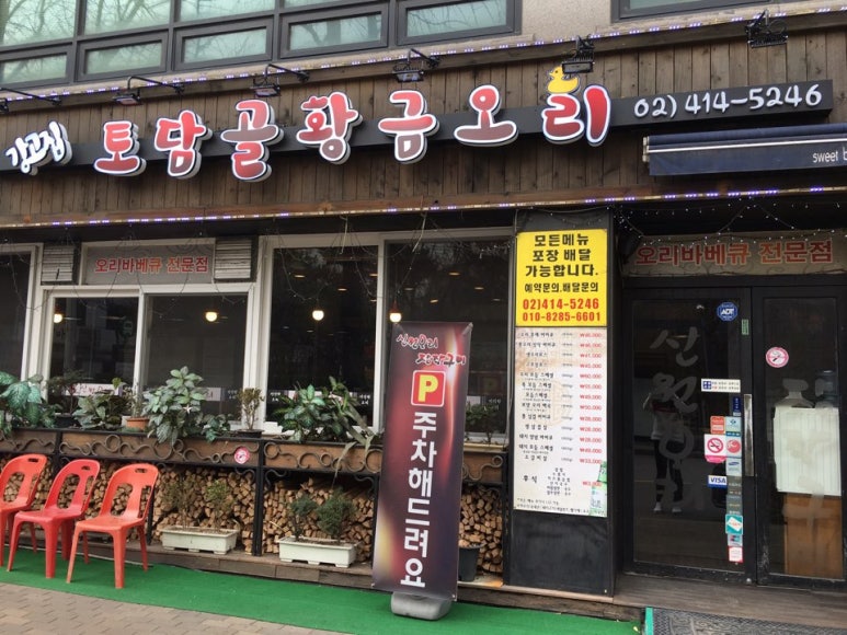 황금오리 이미지