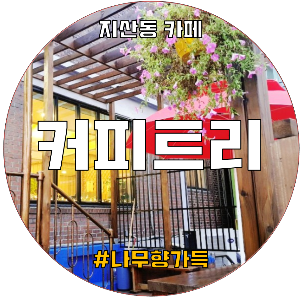 커피트리(COFFEE TREE) 이미지