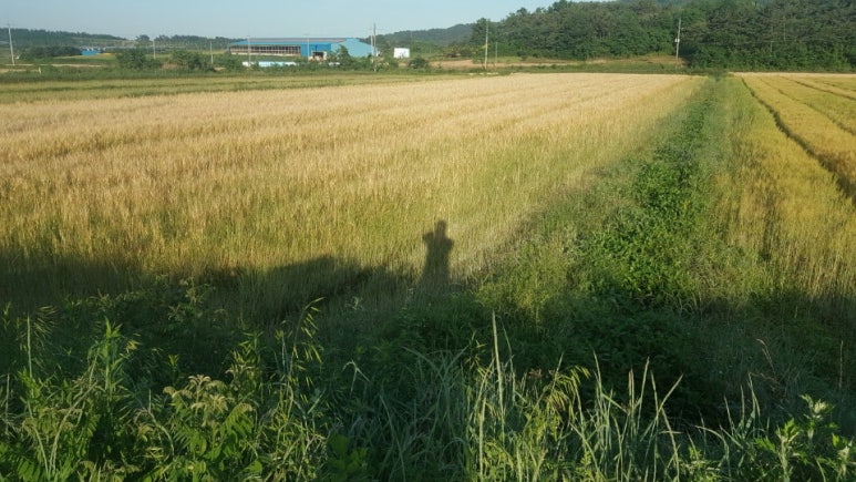 나비골영농조합법인 이미지