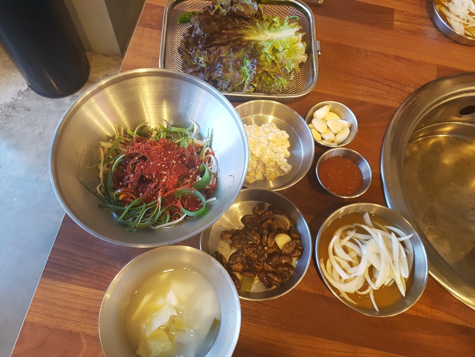 청춘갈매기 이미지