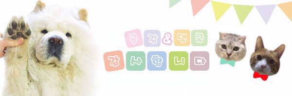 더블에스스튜디오 이미지