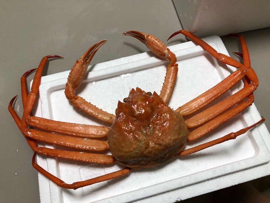 나드리김밥신 이미지