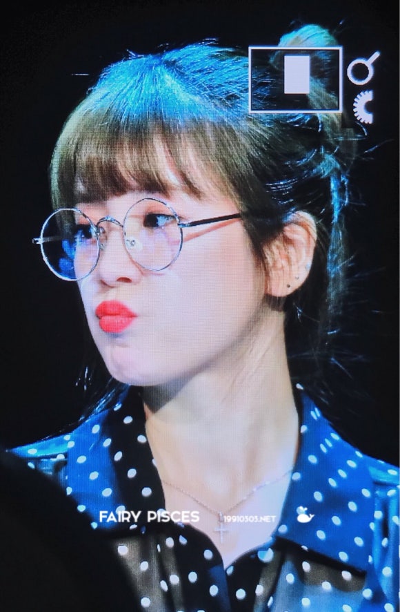 땡글이 이미지