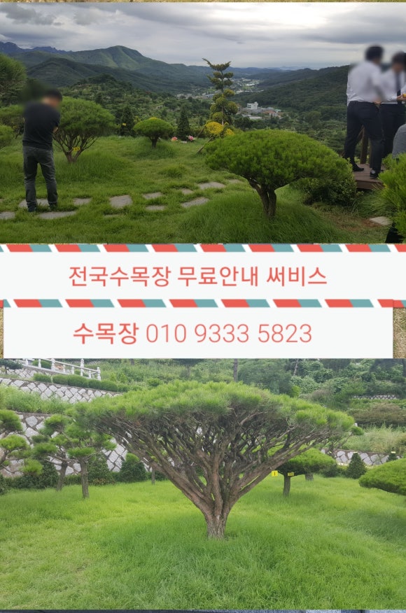 신세계장묘 이미지