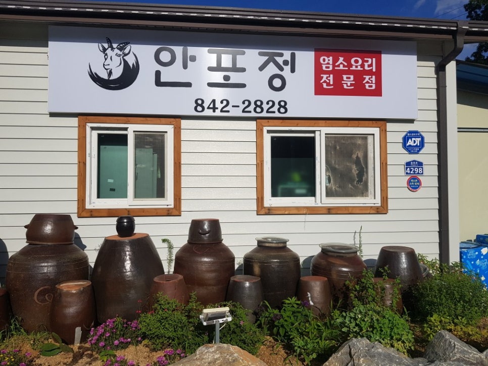 안포정 이미지