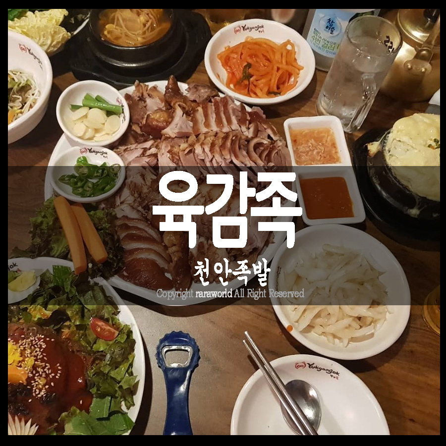 육감족 이미지