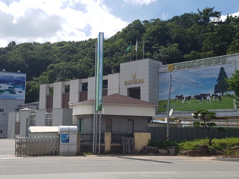 임실치즈축산업협동조합 이미지