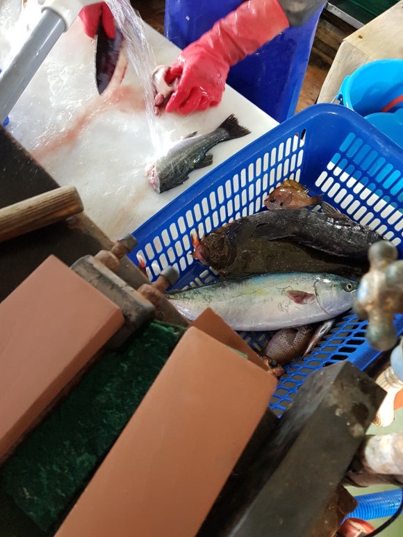 동성호횟집 이미지