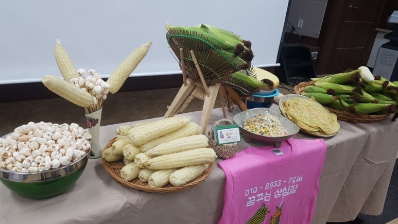 스터디팜 이미지